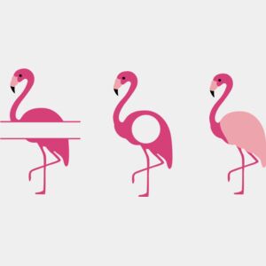 flamingos Thumbnail