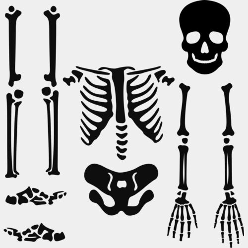 skeleton parts Thumbnail