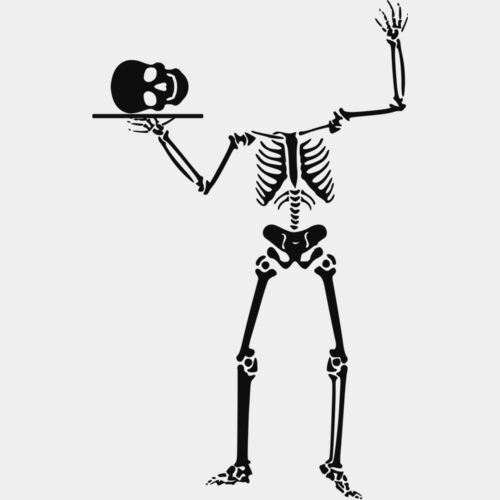 skeleton 04 Thumbnail