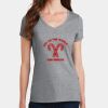 PC Ladies Fan Favorite V-Neck T-Shirt Thumbnail